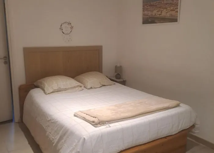 Maison Du Bonheur Calme Et Verdure Privat bolig Nice